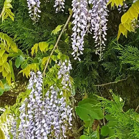 Σπίτι διακοπών La Grange La Chapelle-Pouilloux