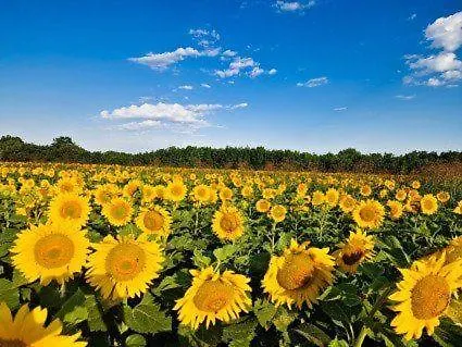 La Grange La Chapelle-Pouilloux